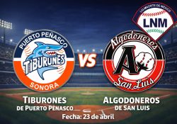 Liga Norte de México afina detalles rumbo a la temporada 2026