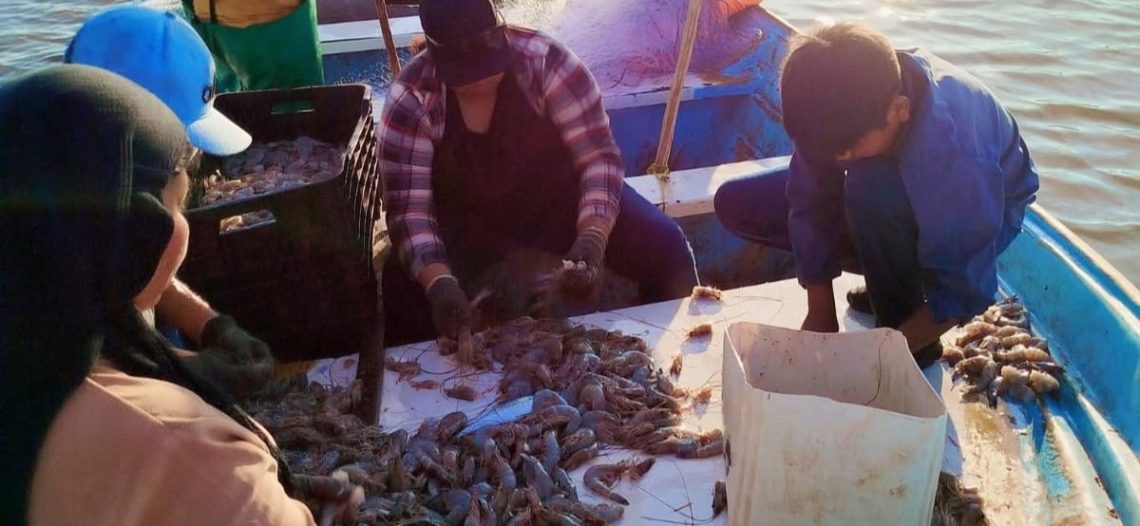 Pescadores piden más vigilancia durante la veda camaronera