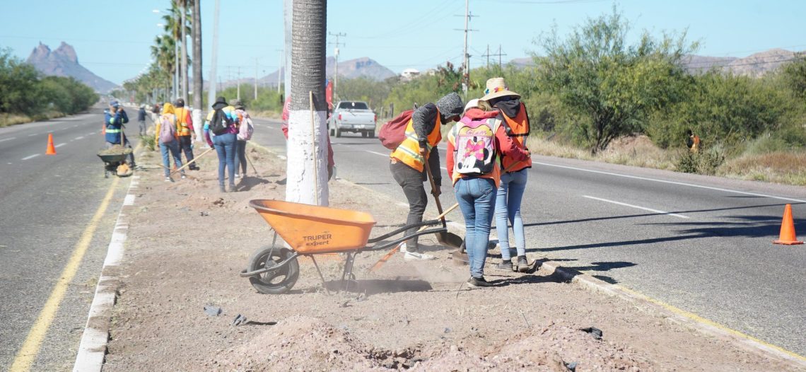Realizan limpieza y reforestación en bulevar Teta Kawi