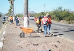 Realizan limpieza y reforestación en bulevar Teta Kawi