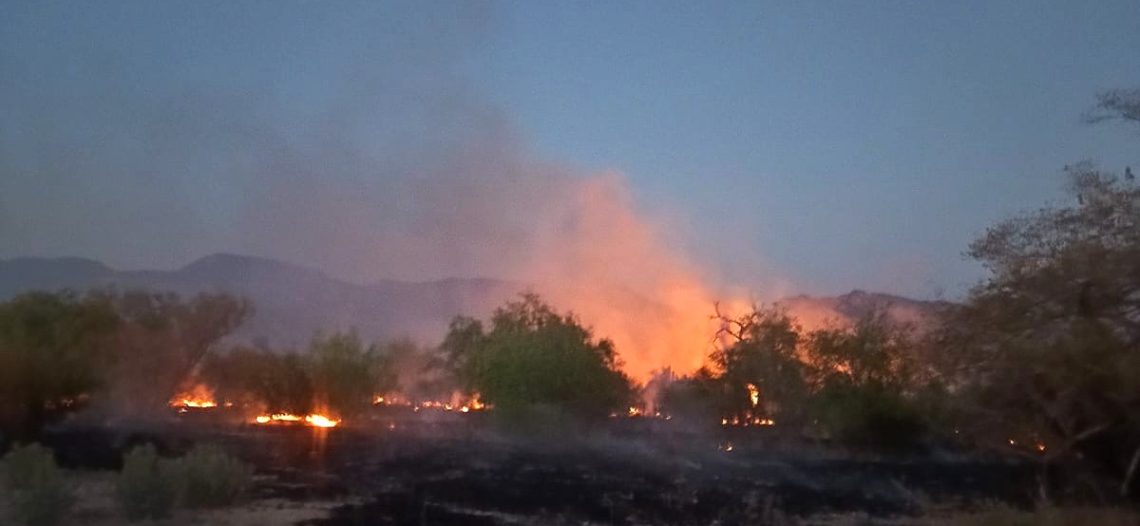 Incendio arrasa 150 hectáreas al norte de Álamos