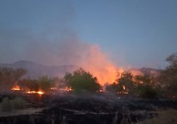 Incendio arrasa 150 hectáreas al norte de Álamos