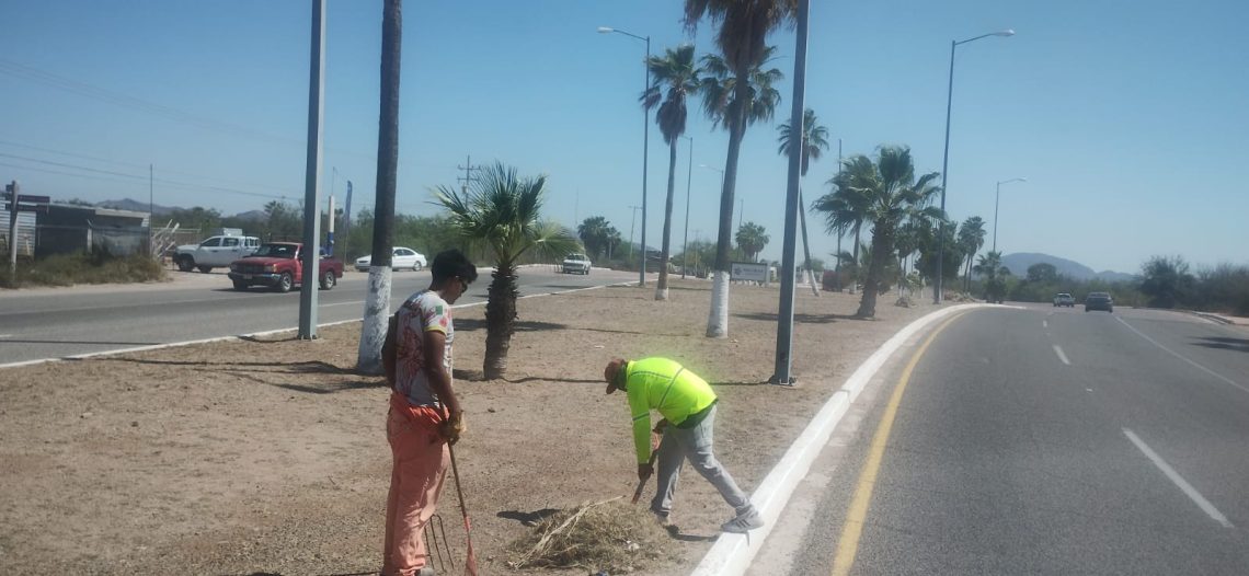 Habrá operación normal del servicio de limpia en SS