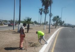 Habrá operación normal del servicio de limpia en SS