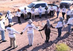 Reporta Colectivo probable hallazgo de ocho cuerpos