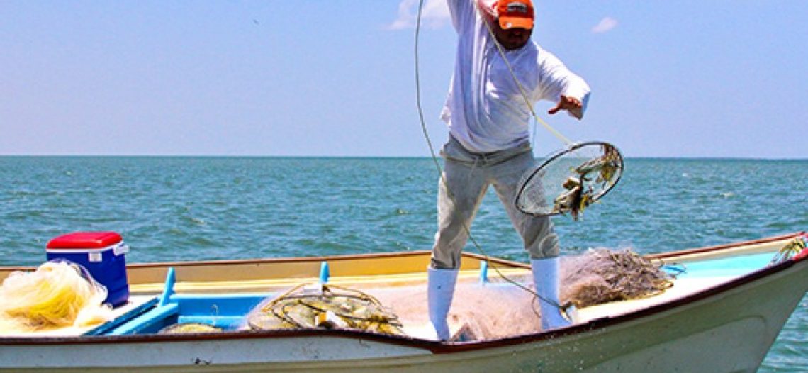 Entregarán tarjetas del programa Bienpesca a pescadores de Guaymas y Empalme