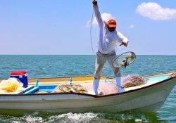 Entregarán tarjetas del programa Bienpesca a pescadores de Guaymas y Empalme