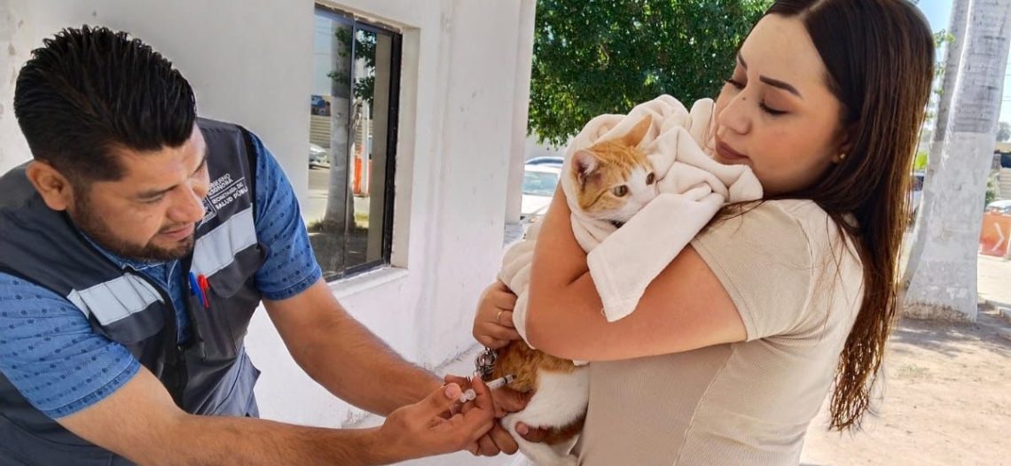 Realizan exitosa jornada de vacunación canina y felina en Empalme