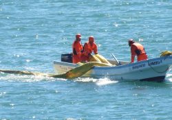 Ensayan atención a contingencia por derrame de hidrocarburos en Guaymas