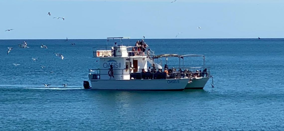 Cierran el puerto a embarcaciones menores, por viento y oleaje
