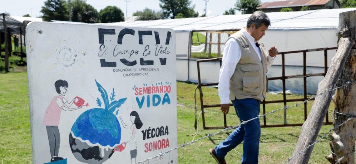 Más de 30 mdp llegarán a Sonora con el Programa Sembrando Vida