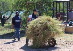 Marina realiza jornada de limpieza en secundaria de Guaymas