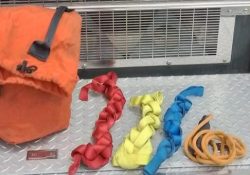 Busca bomberos equipo de rescate extraviado