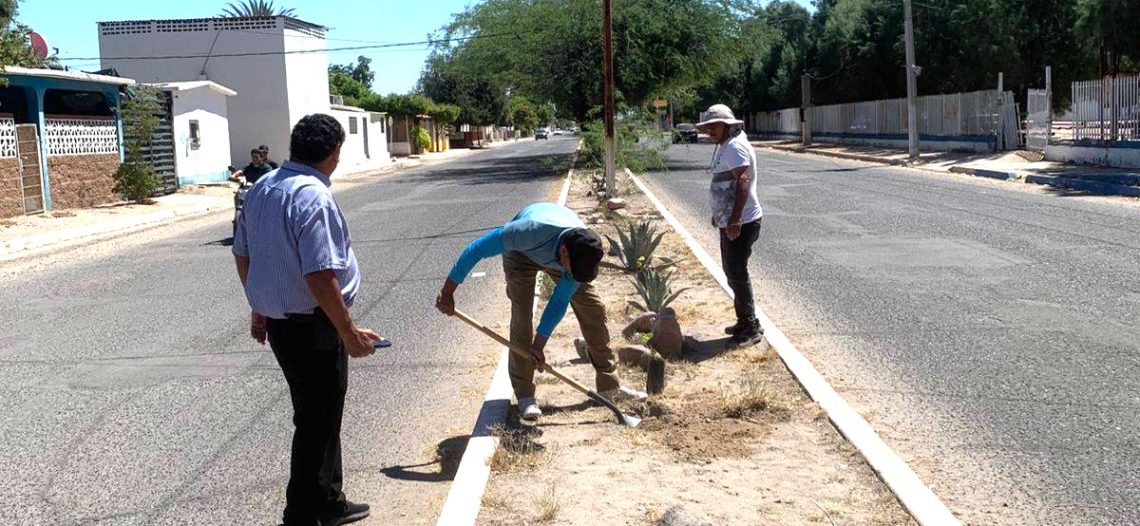 Ecología Municipal realiza jornada de forestación en bulevares de Empalme