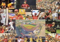 Regresan los Mayos de Navojoa a la Liga Mexicana del Pacífico con estadio renovado