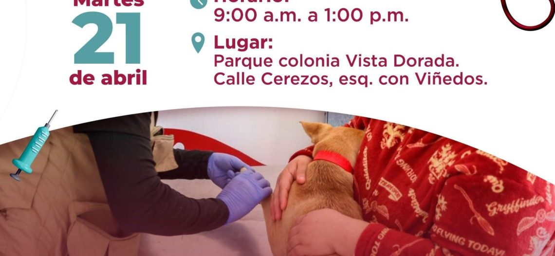 Llevan jornada de salud este martes a Vista Dorada