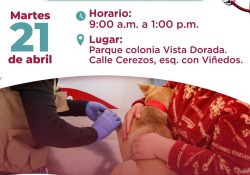 Llevan jornada de salud este martes a Vista Dorada