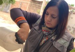 Refuerza Salud Sonora vigilancia del dengue mediante ovitrampas