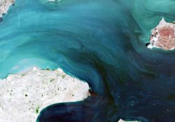 Atacan a tres cargueros en estrecho de Ormuz tras prórroga de tregua EU-Irán