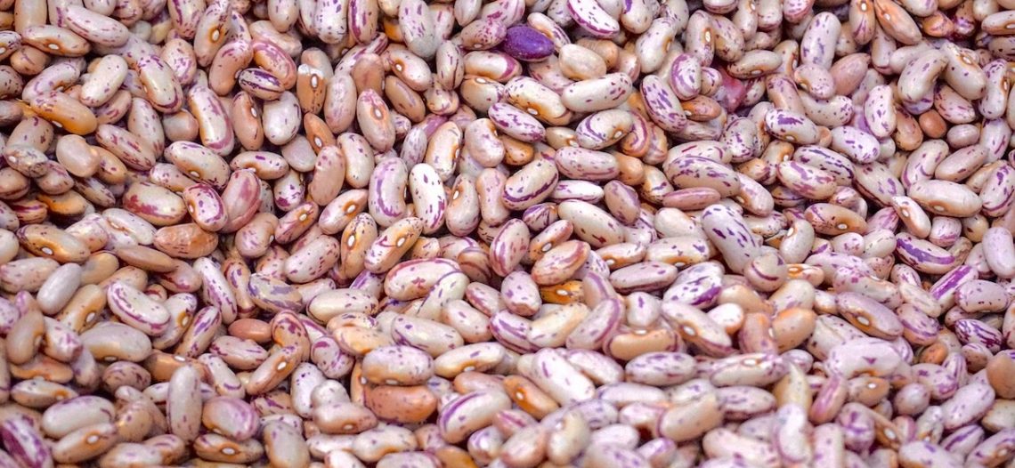 Productores de frijol protestan por fallas en programa de acopio federal