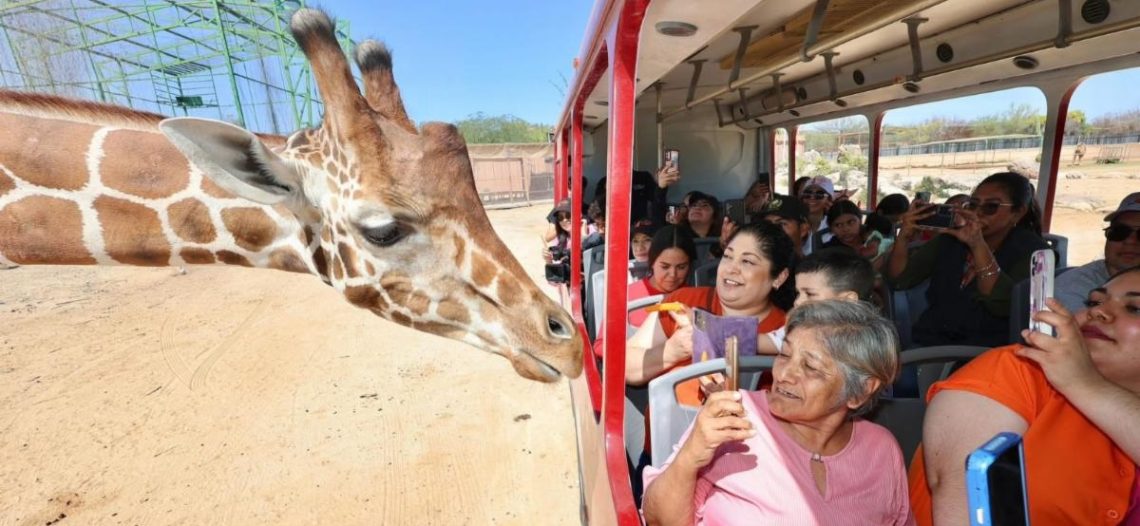 CEDES registra alta afluencia en el Centro Ecológico durante Semana Santa