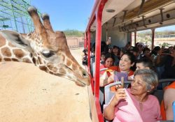 CEDES registra alta afluencia en el Centro Ecológico durante Semana Santa