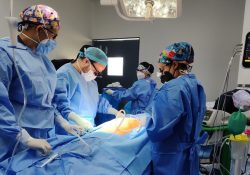 IMSS logra procuración multiorgánica en Sonora, Hidalgo y Tlaxcala