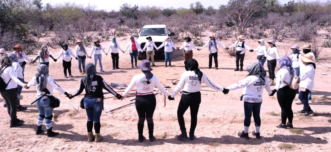 Sigue búsqueda de cuerpos en panteón clandestino del valle de Guaymas