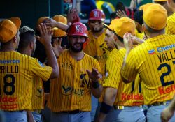 Mayos de Navojoa regresa a LMP para la temporada 2026-2027