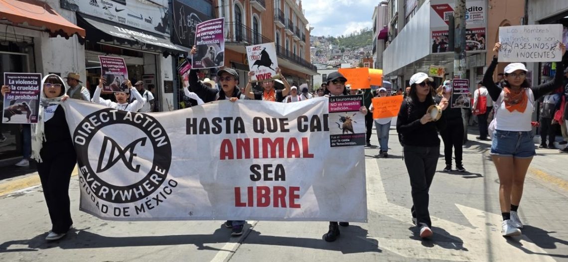 Animalistas protestan en Pachuca por freno a iniciativa contra corridas de toros