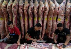Economía argentina crece 2.3% en el primer trimestre de 2026; persiste debilidad social