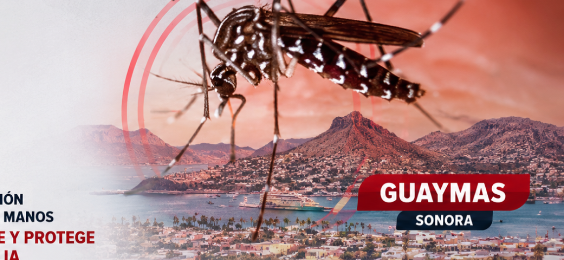 Acecha el dengue a Guaymas con más casos recientes