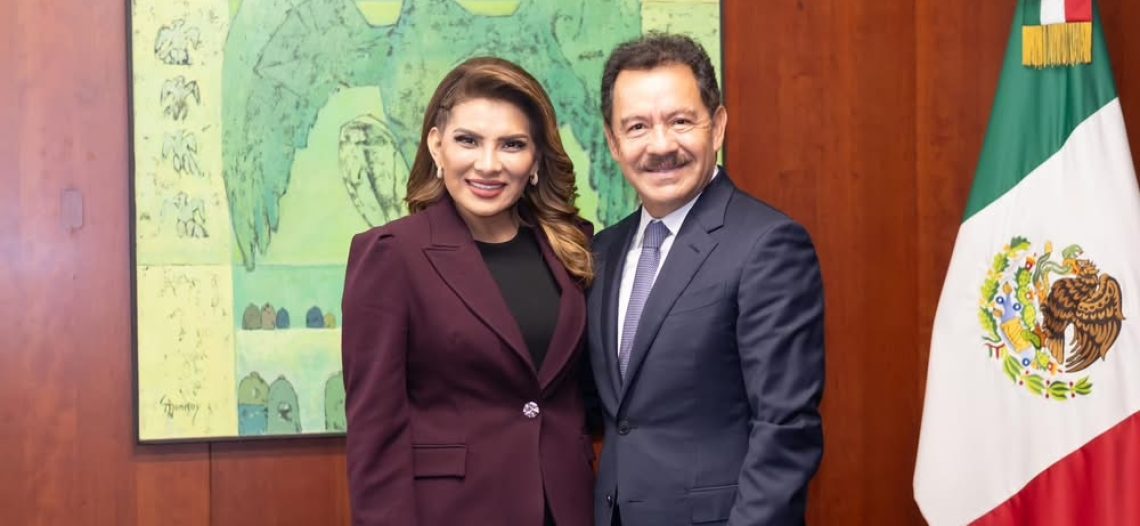 Lorenia Valles Sampedro solicita licencia como senadora de la República