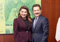 Lorenia Valles Sampedro solicita licencia como senadora de la República