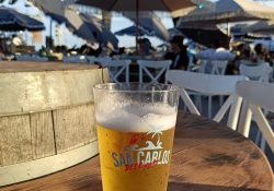 Beer Fest San Carlos 2026 reúne a cientos de visitantes y fortalece el turismo en Sonora