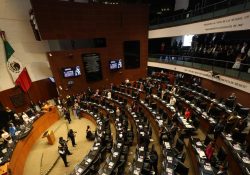 Piden senadores capacitar peritos para sancionar maltrato animal en el país