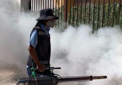 Impulsa Salud Sonora medidas preventivas para evitar el dengue.