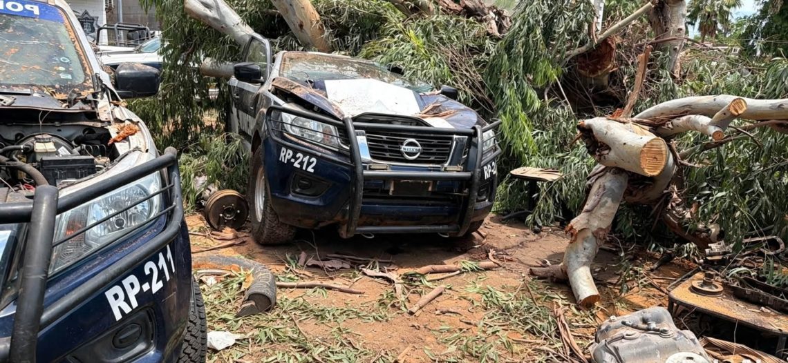 Caen árboles sobre patrullas de la Policía Municipal en Guaymas