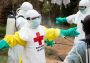 Brote de ébola en Congo y Uganda habría surgido por transmisión animal