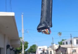 Se volvió costumbre: cortan cable de Internet de nuevo en Empalme 