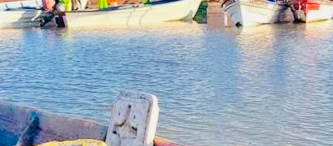 Pescadores del sur de Sonora quieren iniciar la captura camaronera este 25 de agosto 