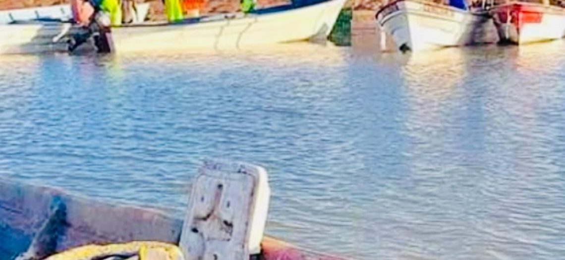 Pescadores del sur de Sonora quieren iniciar la captura camaronera este 25 de agosto 