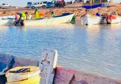 Pescadores del sur de Sonora quieren iniciar la captura camaronera este 25 de agosto 