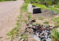Queja de residentes en San Carlos: vuelven basureros espacios de reserva territorial 