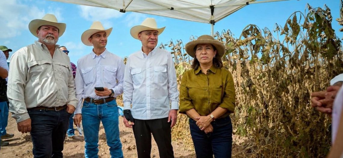 Sonora lidera crecimiento agrícola del norte del país, destaca Alfonso Durazo