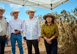 Sonora lidera crecimiento agrícola del norte del país, destaca Alfonso Durazo