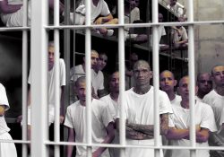 Bukele evalúa libertad condicional para reos que colaboraron con pandillas